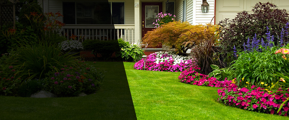 Kodak Landscapers